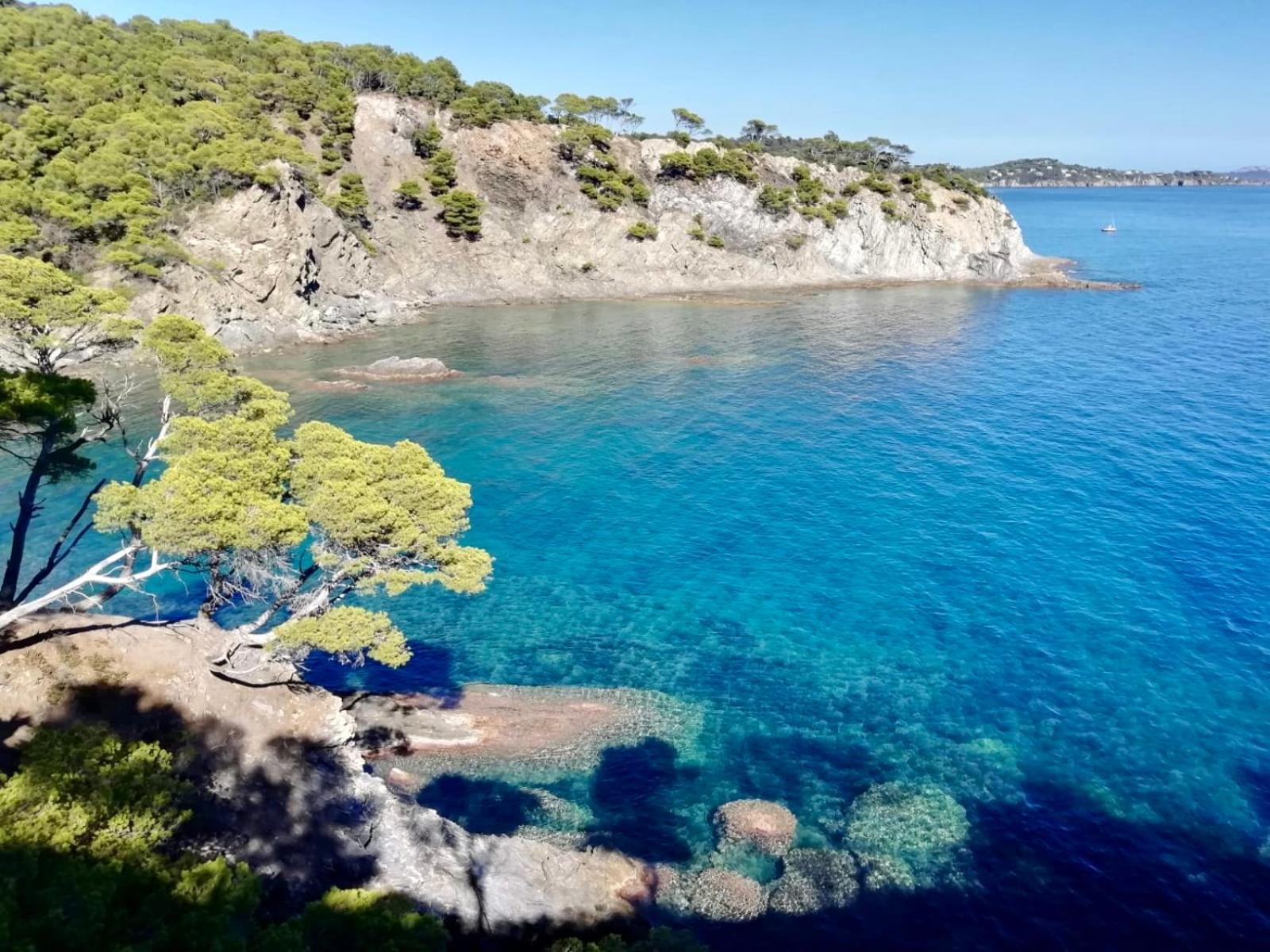 Appartement Cosy Vue Mer A 50 M De La Plage - Refait A Neuf Et Climatise Le Pradet Luaran gambar